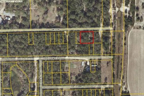 7807 12th Pl, Bell, FL 32619-4669