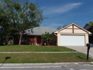1911 Coral Tree Ct, Brandon, FL 33511-8375