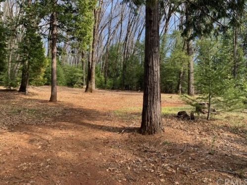 14825 Nimshew Rd, Nimshew CA  95954-9680 exterior