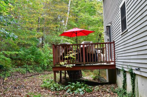 11 Deer Hollow Rd, Plaistow NH  03865-2119 exterior