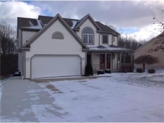 363 Silver Meadow Dr, Wadsworth, OH 44281-8869