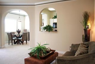 333 Dominion Dr, Katy TX  77450-2038 exterior