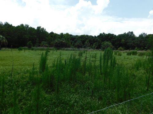 3541 Golden Eagle Dr, Land O Lakes FL  34639-9551 exterior