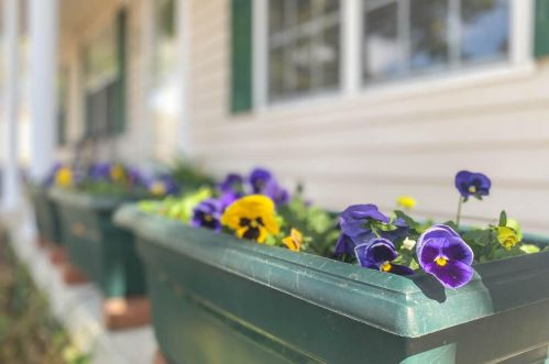 361 Copeland Cir, North Augusta SC  29860-8983 exterior