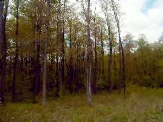 1 Cherry Tree Ln, Inez, PA 16915-8348