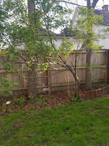 300 Center St, Mount Vernon OH  43050-1808 exterior