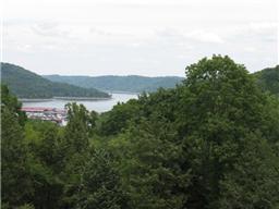 377 Harbor Dr, Lancaster, TN 38569-5250