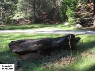 22573 Elizabeth Ln, Sonora, CA 95370-9137