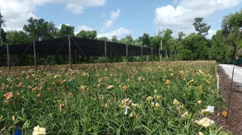 1240 Enterprise Osteen Rd, Deltona FL  32725-9401 exterior