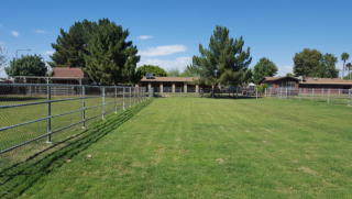 9007 Lillian Ln, Tolleson, AZ 85353-1807