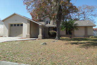 1039 Jambalana Dr, Tarpon Springs FL  34691-6740 exterior