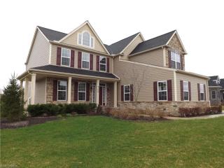 4186 Maidstone Ln, Medina OH  44256-6548 exterior