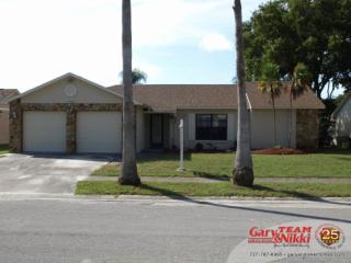 2526 Pinetta Ct, Tarpon Springs, FL 34691-6807