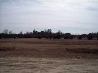 153 Sassafras Ct, Walterboro SC  29488-9011 exterior