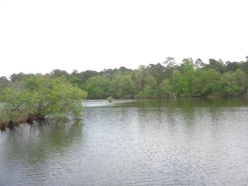 1734 Highway 51, Midway, AL 36053-8439