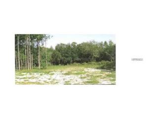 16922 Comunidad De Avila, Lutz FL  33548-8106 exterior