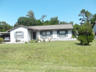 219 Wildwood Dr, Edgewater, FL 32132-2011