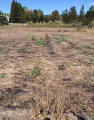 1707 Weiss Ln, Penngrove, CA 94951-9752