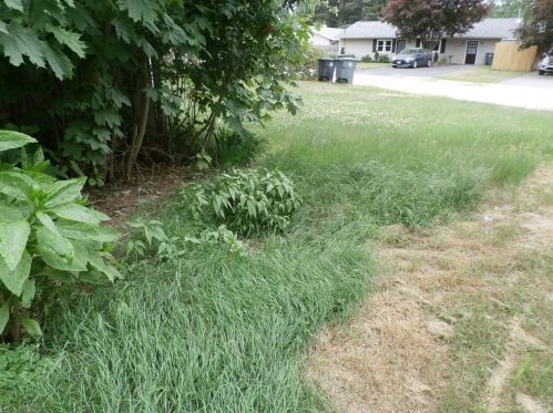 30 Paige Dr, Coventry RI 02816-8931 exterior