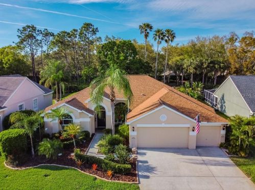 3725 Siena Ln, Palm Harbor, FL 34685-3611