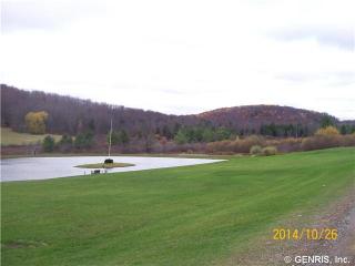 1010 Hulbert Rd, Troupsburg, NY 14885-9742