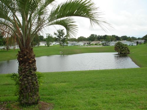 17686 105th Terrace Rd, Summerfield, FL 34491-4635