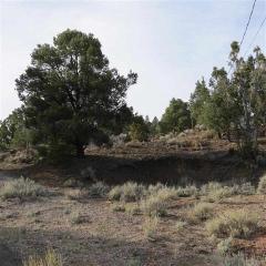 2301 Grizzley Rd, Reno, NV 89521-7444