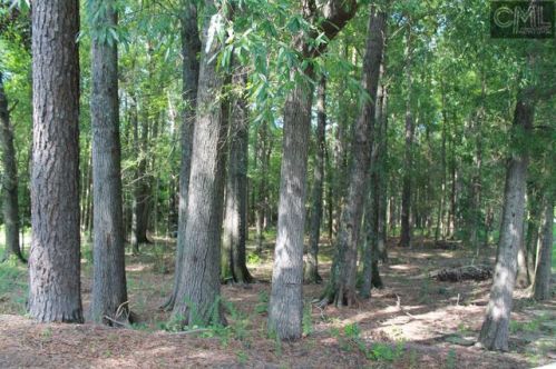 209 King St, Bethune, SC 29009-9591