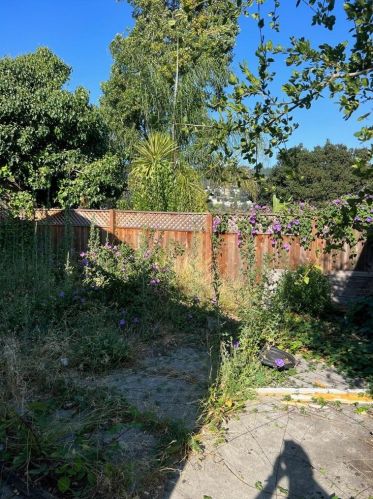3436 Birdsall Ave, Oakland, CA 94619-2621