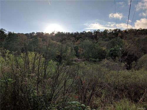 4955 Five Mile Rd, Ischua, NY 14743-9809