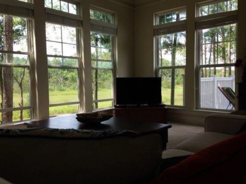 603 Merrifield Ct, Mount Pleasant SC  29466-9266 exterior