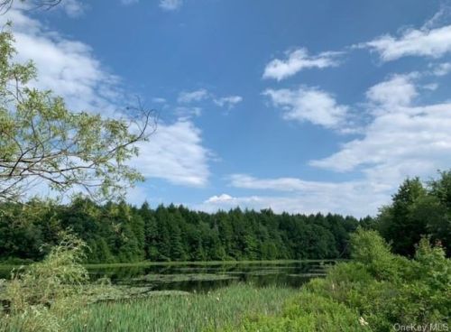 307 Beaver Lake Rd, Lew Beach, NY 12758-5526