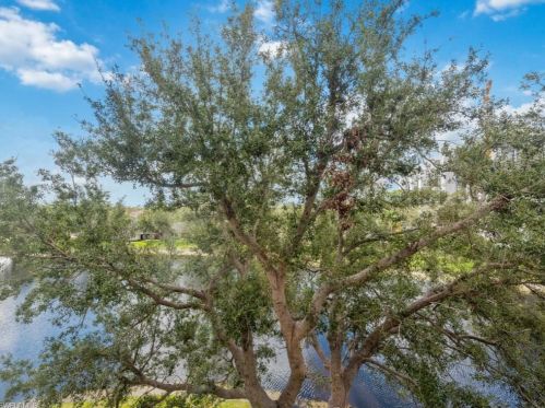 900 Arbor Lake Dr, Naples FL  34110-8695 exterior