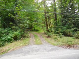 9805 Mt Baker Hwy, Glacier, WA 98244-9528