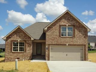 210 Brandywine Ln, Springfield, TN 37172-5047