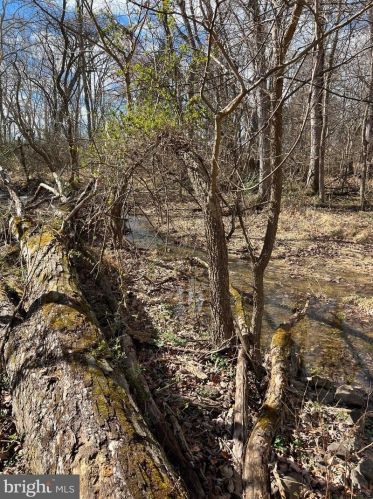 468 Hillcrest Rd, Edinburg VA  22824-2923 exterior