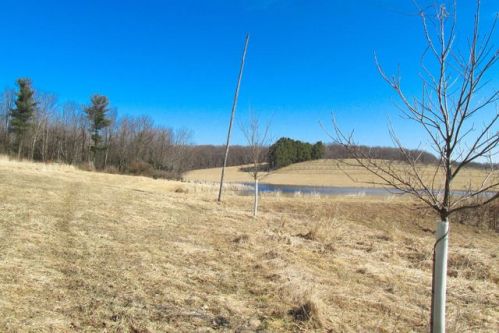 276 Jayne Rd, Laceyville, PA 18623