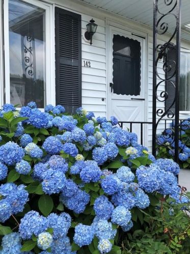 142 Renfrew Ave, Middletown RI  02842-5837 exterior