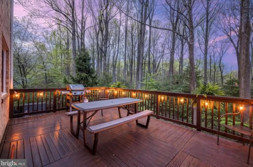 11710 Dry River Ct, Herndon VA  20191-2964 exterior