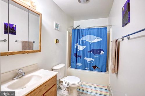 11734 Armistead Filler Ln, Lovettsville VA  20180-1915 exterior