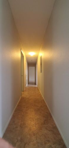 8519 158th St, Summerfield FL  34491-5573 exterior