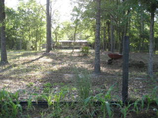 6360 20th Ave, Bell, FL 32619-4541