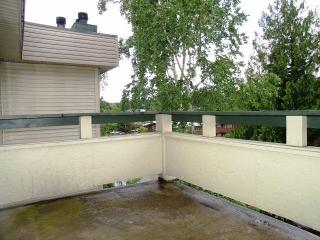 12316 28th Ave, Seattle WA  98125-5422 exterior