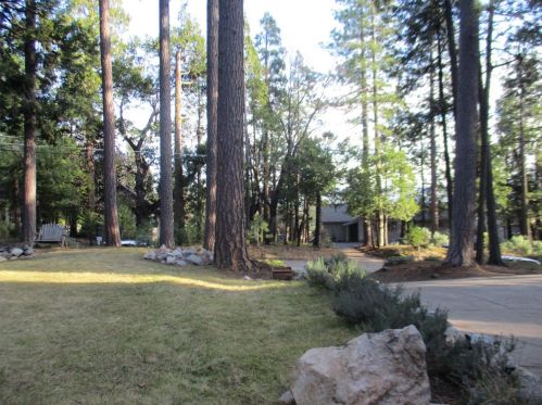 3891 Garnet Rd, Pacific House CA  95726-9517 exterior