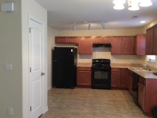 1491 Old Sage Ct, Winston Salem NC  27127-5994 exterior