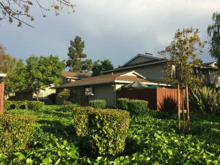 1141 Reed Ave, Sunnyvale, CA 94086-2654