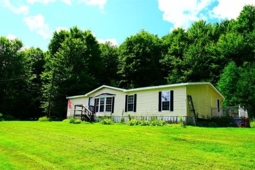 301 Gulf Rd, Patent, NY 13348-2403