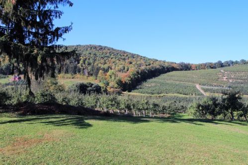 789 Lattintown Rd, Marlborough, NY 12547