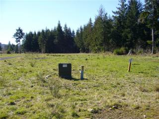 8 Sawyer Way, Forks, WA 98331