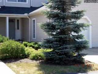 713 Gold Leaf Ct, Streetsboro, OH 44241-3933